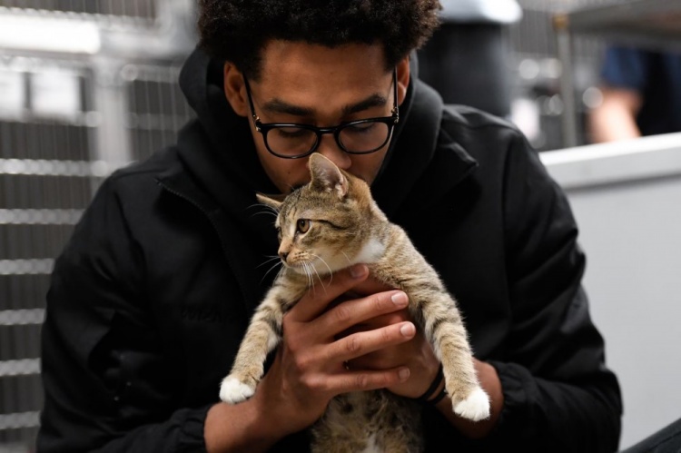 普尔：NBA里养猫的人很多 蜜桃在线观看视频有一个秘密的圈子常私下交流